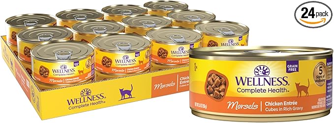 Wellness Complete Health Morsels Adult Canned Wet Cat Food, Natural, Protein Rich, Grain Free, Chicken Entrée Recipe, 5.5 oz, Pack of 24 Cans