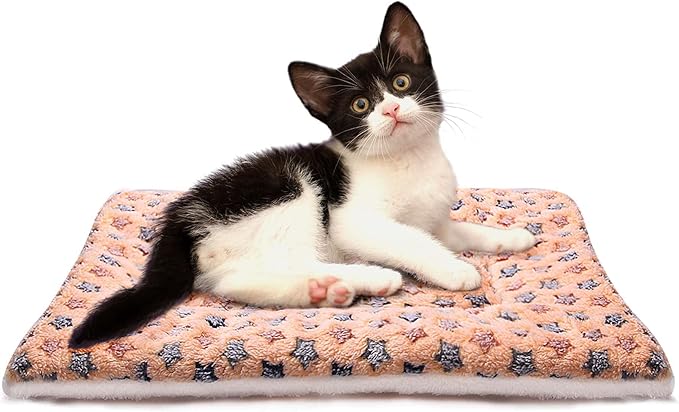 FJWYSANGU Fluffy Pet Cat Blanket Soft Coral Velvet Pet Puppy Cushion Mat Warm Cover Soft Pad Mat(Star V2/Beige,Large)