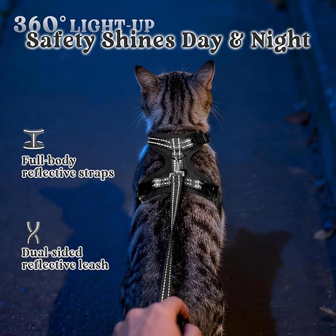 rabbitgoo Cat Harness and Leash, Escape Proof Vest with 3 Adjustable Buckles, Soft Comfortable Kitten Harness, Easy to Wear, Reflective for Safe Outdoor Walking, XS, Black