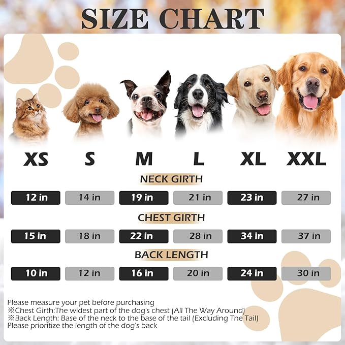 EXPAWLORER Dog Hoodie Sweater - Bad to The Bone Dog Sweatshirt Skeleton Costume, Warm Fleece Lined Pet Clothes with Leash Hole, Fall Winter Cozy Soft Pet Outfit Coat for Medium Dogs, M