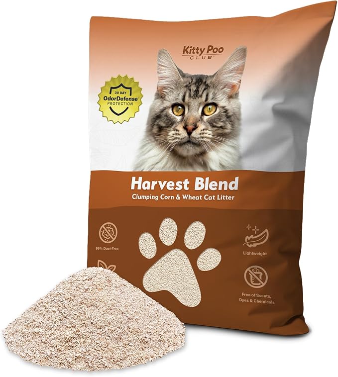 Kitty Poo Club Corn & Wheat Cat Litter – Unscented, Superior Clumping, Maximum Odor Control, 99% Dust-Free, Fine & Lightweight Texture, Non-GMO, Biodegradable & Renewable