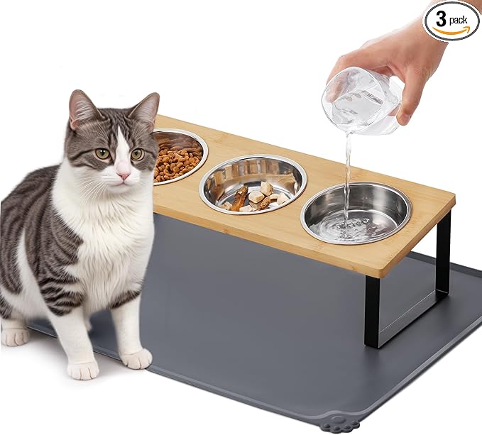 Upgraded Elevated Cat Bowls with Food Mat,15°Tilted Stand Anti Vomiting Raised Cat Dishes for Food and Water,3 Stainless Steel Bowls for Cats and Puppy