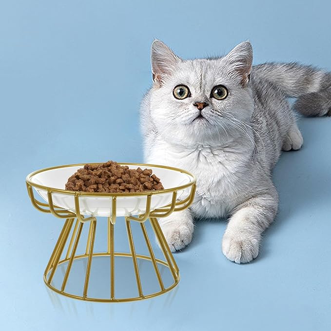 Garneck Elevated Cat Food Bowl with Ceramic Whisker-Friendly Dish and Gold Metal Stand, Anti-Vomiting Raised Pet Feeder for Cats, Compact Feeding and Watering Bowl for Indoor Use