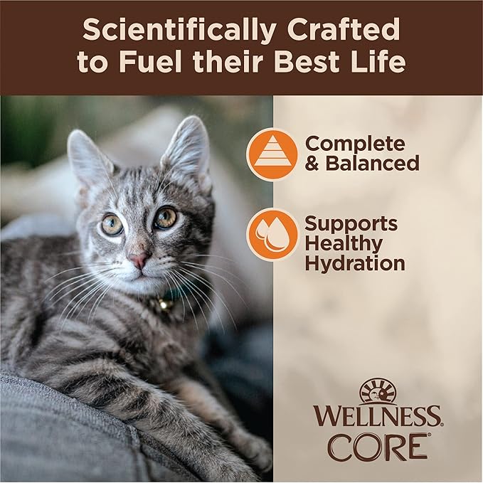 Wellness CORE Tiny Tasters Minced Adult Wet Cat Food, Natural, Protein Rich, Grain Free, Chicken Recipe, 1.75 oz, Pack of 12 Pouches