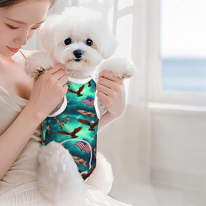 Cat Recovery Suit Breathable Pets Onesie After Surgery Dogs Surgery Recovery Native American Flag Eagle Dream Catcher Abdominal Wounds