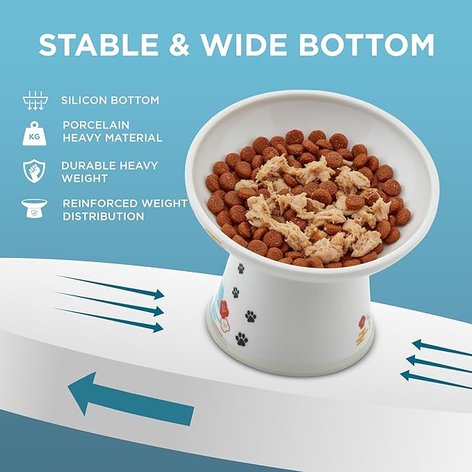 Necoichi Raised Cat Food Bowl – Ceramic Elevated 15° Tilted Bowl for Whisker Fatigue, Dishwasher & Microwave Safe, Non-Slip Anti-Vomiting Ergonomic Design (Sakura Floral, Extra Wide, 1.5-Cup Capacity)