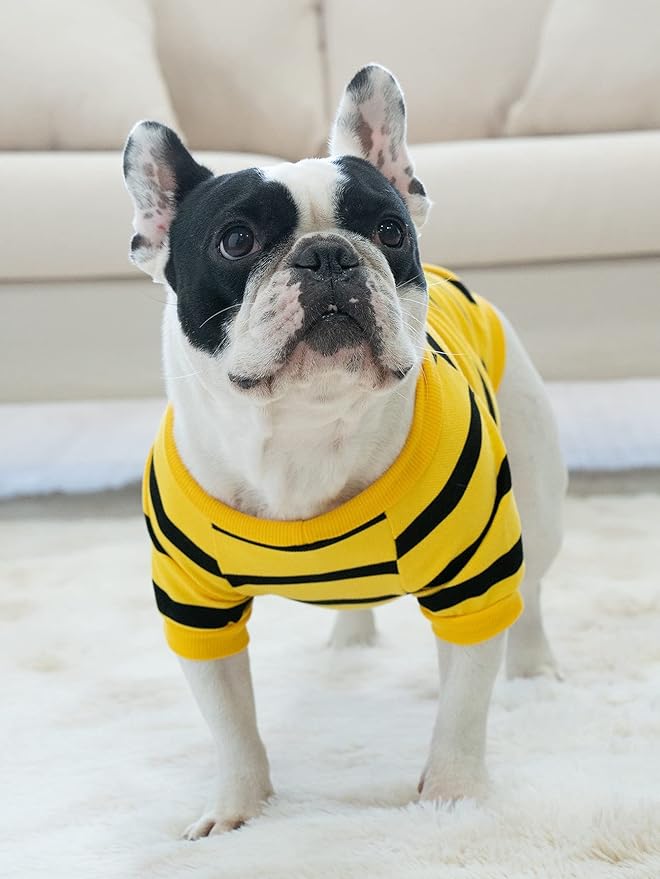 French Bulldog Striped T Clothes T-Shirt for Medium Dogs Tee Shirts for Boston Terrier Pitbull Bichon Spring Summer XS Puppy Apparel, XS, Pack of 2