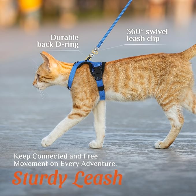 Dooradar Cat Harness and Leash Set, Escape Proof Soft with 3 Adjustable Buckles, Comfortable Vest Easy to Wear Kitten Harness with Reflective Strip, Safe for Outdoor Walking, Royal Blue, M