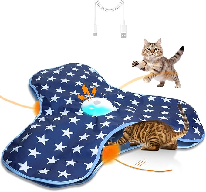 Oxawo Cat Toys Interactive Hide and Seek with Chirping, Motion Activated Cat Exercise Catching Game Moving Concealed Feathers Hidden in Bag