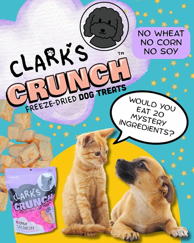 | Freeze Dried Cat Treats | Salmon Bites, Single Protein | Premium Quality | Grain Free Training Treats for Cats, 2 oz Pouch
