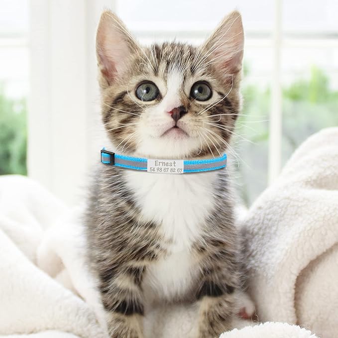 CAMAL Reflective Cat Collar Personalized with Pet ID Tag, Safety Breakaway Cat Collar with Name Tag, Purple Kitten Collar with Bell for Boy Girl Cats Puppies