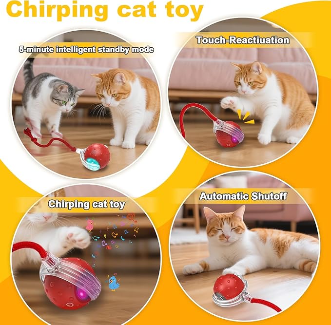 3-Pack Interactive Cat Toys Ball for indoor Cats＆Dog,Automatic Cat Toy with Smart Obstacle Avoidance & Bird Chirps,Includes 8 Cat Spiral Spring,Cat Enrichment Toys for Indoor Cats(Red Blue Orange)