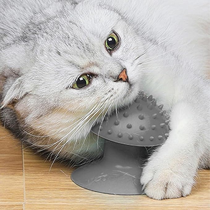 Grey Cat Corner Self Groomer - Remove Loose Fur, Removable Design for Cleaning, Massage Combs for Short and Long Fur, Grooming Brushes for Cats and Kittens