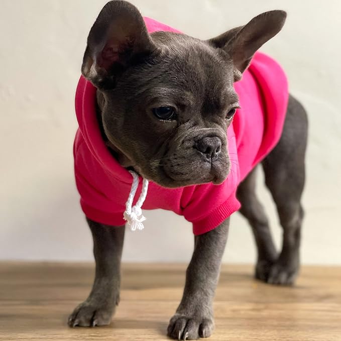 Lucky Girl Dog Hoodie | Fleece Lined |Leash Hole| St. Patrick's Day | Lucky | Shamrock | Irish Holiday|Black, 4X-Large 1209