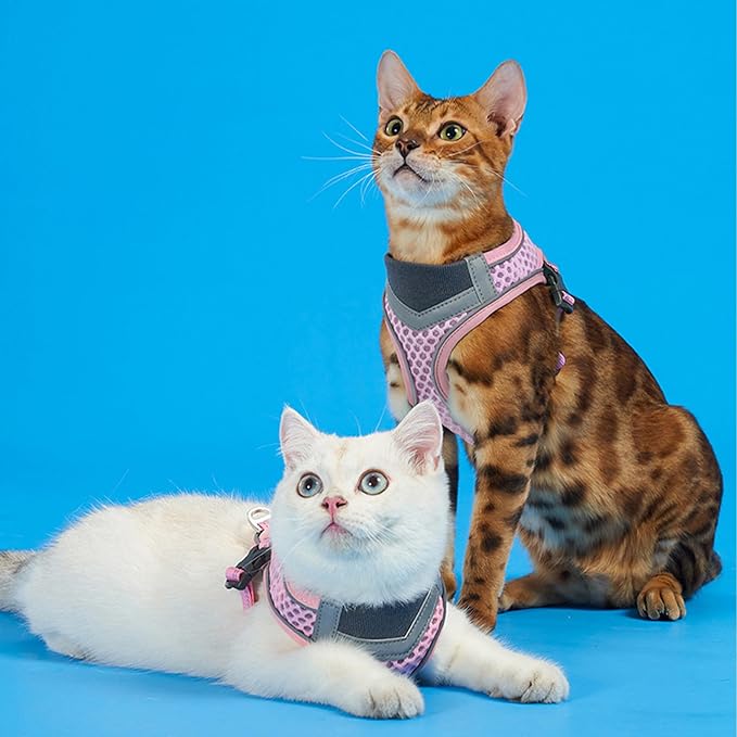 Cat Harness and Leash Set for Comfortable Outdoor Walking, Escape Proof, Adjustable Soft Kitten Vest Harness with Reflective Strip for Cats, Small Dogs (Pink, S)