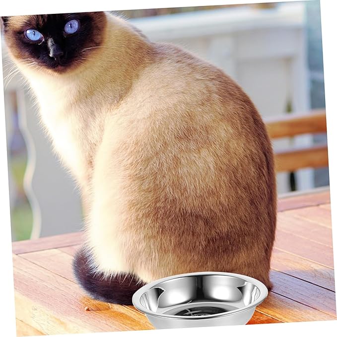 Stainless Steel Pet Bowl Set 5pcs 304 Food-Grade Raised Round Cat Bowls Sturdy Puppy Feeder for Indoor Feeding and Watering Supplies
