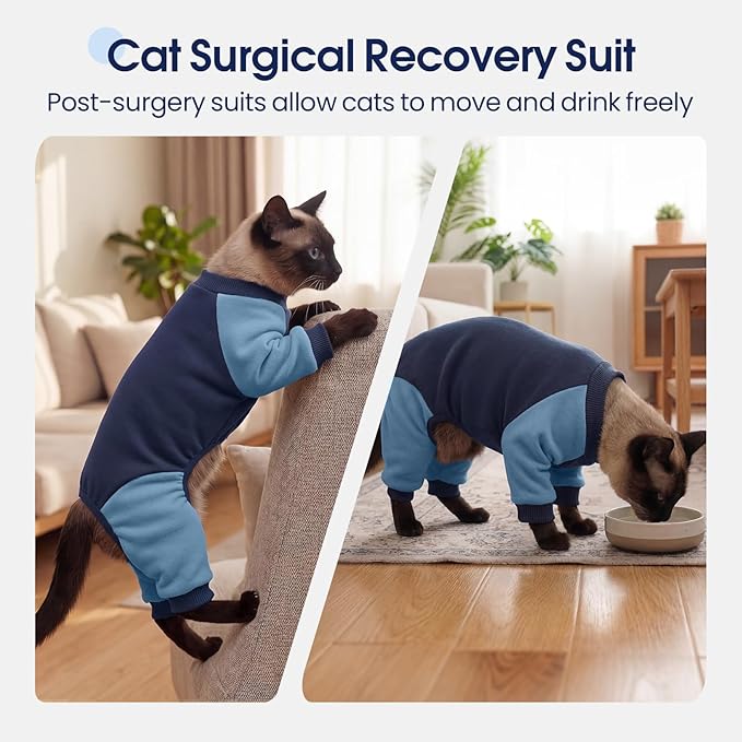 DENTRUN Cat Recovery Suit with Legs - Shedding Control & Anti-Licking Onesie, Stretchy Surgical Recovery Suit Cute Cat Clothes Indoor Soft Material for Comfort and Warmth for Pets