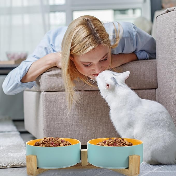 ERINGOGO Ceramic Elevated Cat Bowls with Dual Color Matte Finish, Small 2pcs Set with Blue-Yellow Bowls and Double Wooden Stand for Kitten Feeding and Pet Watering