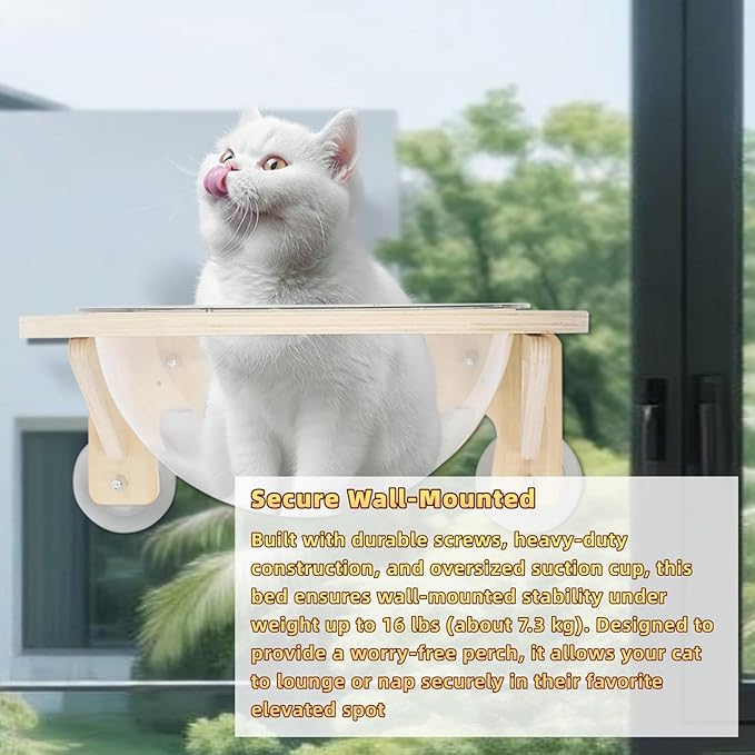 Clear Cat House, Wall-Mounted Wooden Cat Space Capsule Cat Bed Kitten Walls Shelves for Sleeping Playing Climbing and Lounging, Easily Holds Up to 16.5 Lbs, Cat Furniture for Indoor