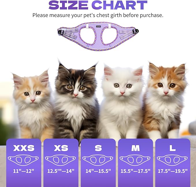 Rttochfy Cat Harness and Leash Set, Escape Proof Kitten Harness, Soft and Breathable Vest with Reflective Strip, Easy to Wear for Cats Walking and Traveling (Blue, M)