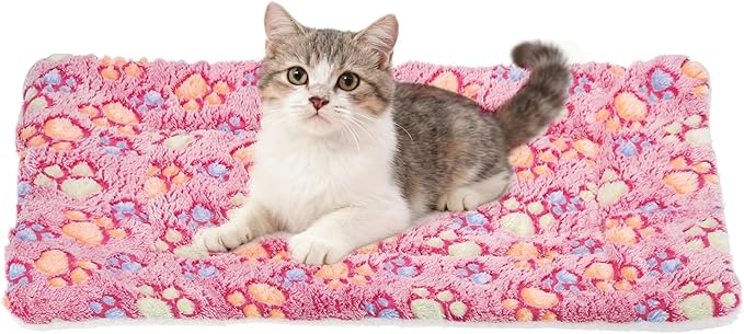 Dog Cat Bed Mat, Soft Coral Fleece Pet Cushion Pad with Cute Paw Print, Warm Washable Pet Bed 21x14 Inches, (Pink), Intended for Medium Small Dog Cat
