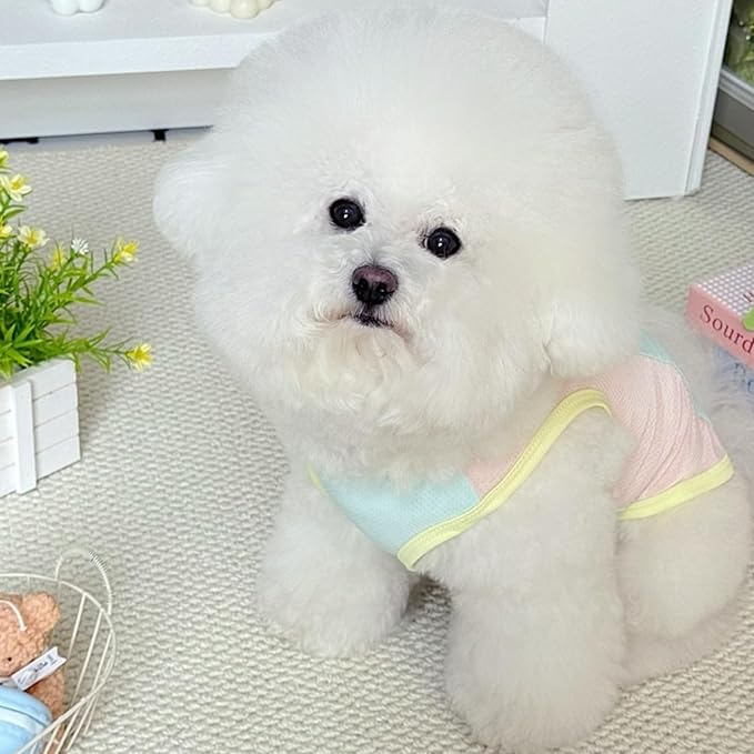 Ice Silk Fluorescent Tank top with Traction Ring, Suitable for Small/Medium Dogs, pet Dog Sun Protection Breathable Outdoor Walking Tank Top