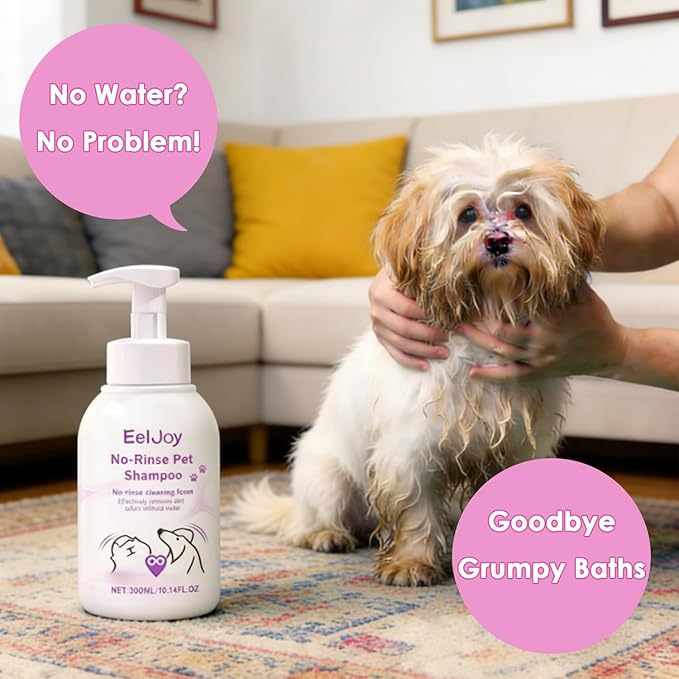 Non-Rinse Pet Shampoo – 10 Fl. oz Dog & Cat Dry Shampoo and Conditioner Itchy Skin Relief - Coconut Oil No Rinse Pet Shampoo for Cat & Dog Grooming & Spot Cleaning, Quick Clean Between Baths