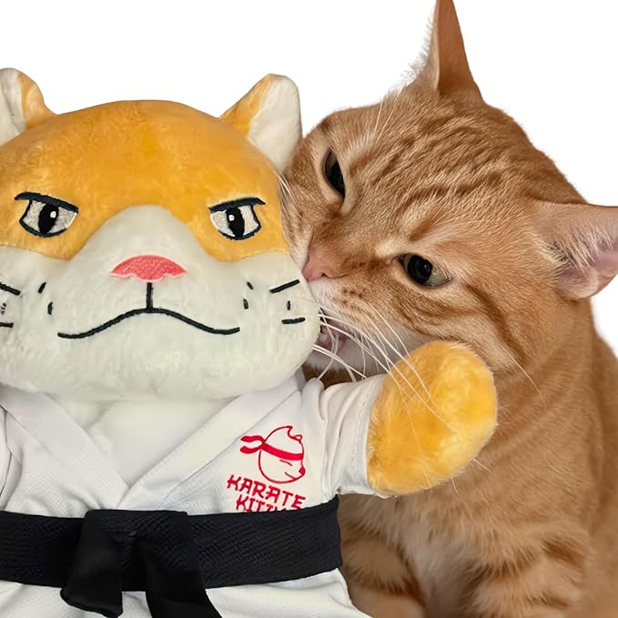 KARATE KITTY Cat Wrestling Glove & Puppet Toy with Protective Arm Sleeve – Interactive Boxing Cat Toy for Indoor Cats with Catnip Pocket & Crinkle Ears