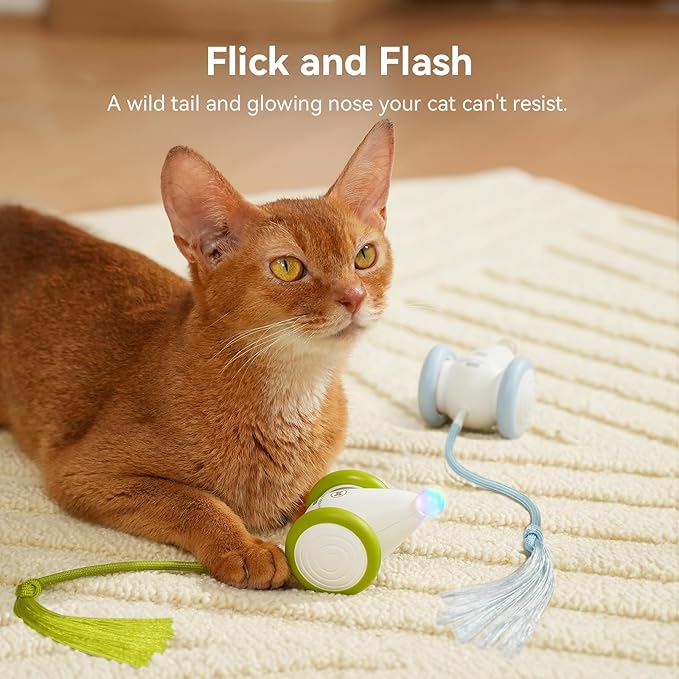 Cheerble Interactive Cat Toys for Indoor Cats, Automatic Moving Kitten Toys, Wicked Mouse Neo Cat Toy with Tail & Lights, Pet Cat Supplies, Rechargeable Cat Toys for Bored Indoor Adult Cats