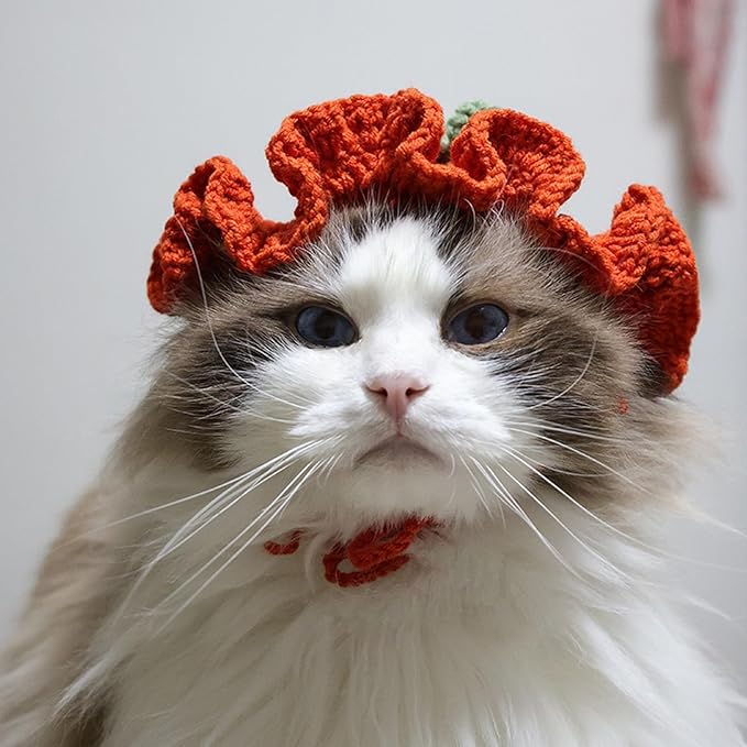 Cute Carrot Cat Hat Crochet Collar, Birthday Party Kitten Costume for Puppy, Pet and Small Animals(Red, Small)