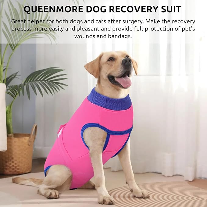 Queenmore Recovery Suit for Dogs Cats After Surgery,Dog Surgical Recovery Suit Onesie,Anti Licking Pet Female Spayed Neutered Puppy Surgical Clothes for Abdominal Wounds, Substitute E-Collar & Cone