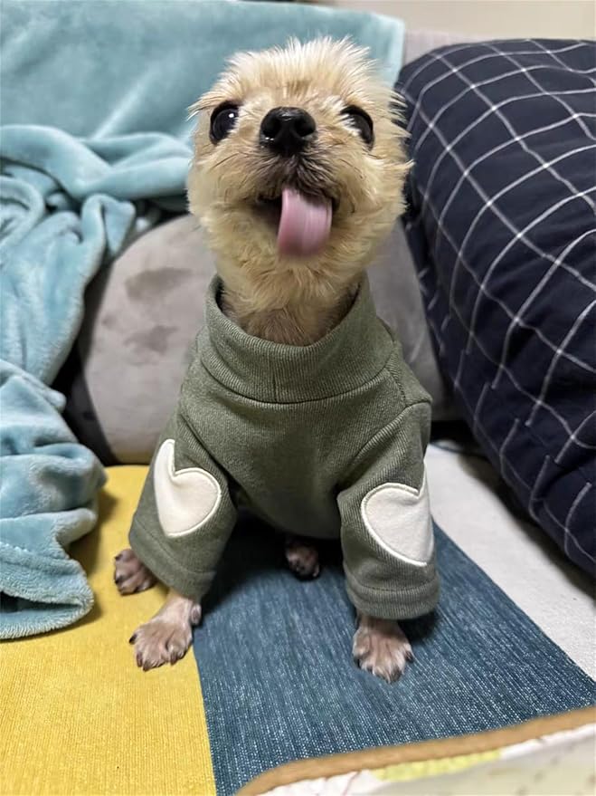 Small Dog Sweaters for Dogs Girls Boys, Heart Love Pattern Puppy Clothes, Puppy Pullover Outfit (Dark Green, Medium)