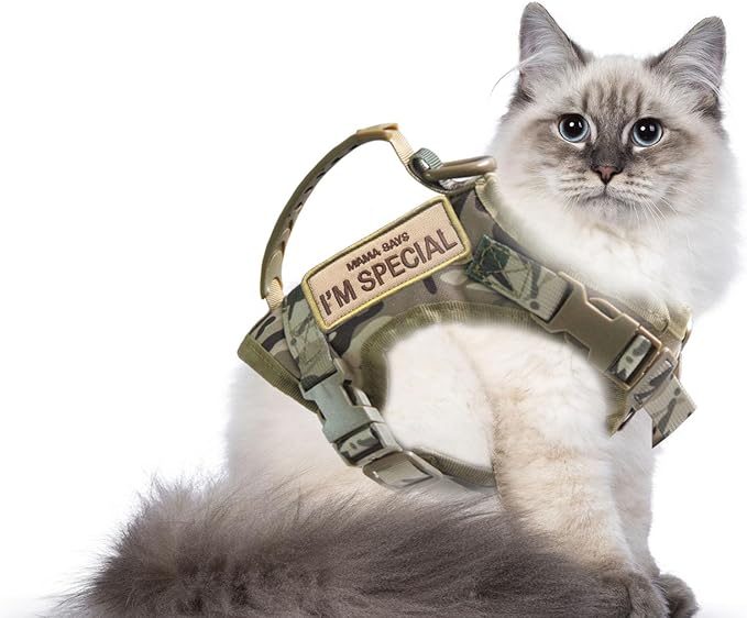 AIWAI Tactical Cat Harness for Walking Escape Proof, Adjustable Pet Vest Harness, Soft Mesh with Control Handle for Large Cat Small Dog, Gift with Patch (Camouflage, cat Harness only)