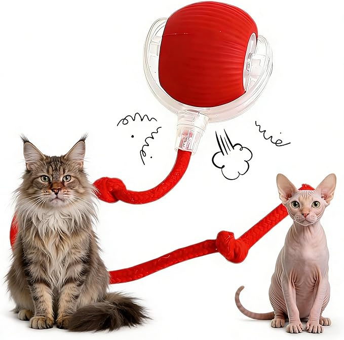 Interactive Rolling Cat Ball, 360° Automatic Smart Pet Toy with Obstacle Avoidance, LED Light, Type-C Rechargeable, Safe Durable Chew Toy for Cats & Small Dogs