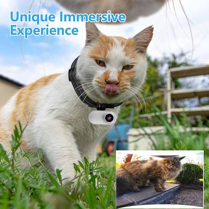 HD 1080P Cat POV Camera Collar with Video Record, Mini Small Sports Video Cameras, Body Cam Outdoor/Inoor No WiFi, Unique Pet Supplies Gift for pet Owners, Dog Moms, cat dads, Ideal Gift