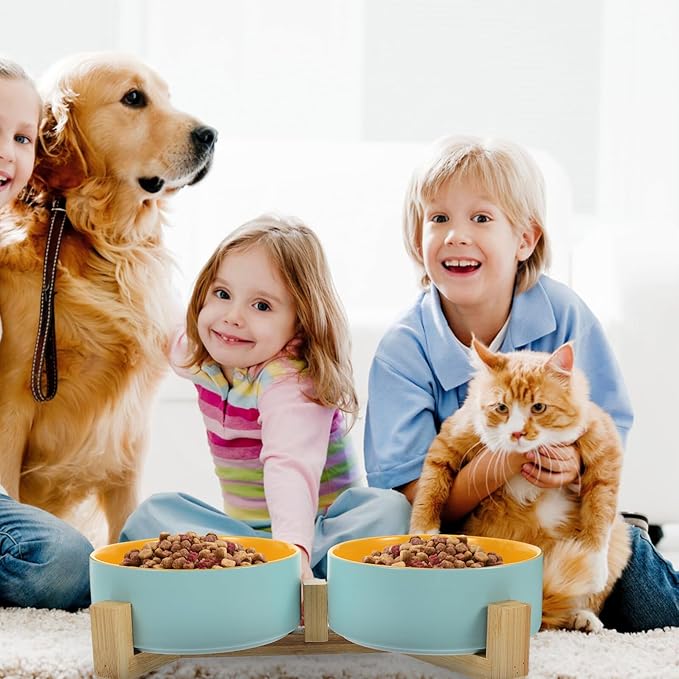 UPKOCH Ceramic Cat Bowl with Wood Stand, Dual Raised Pet Feeding Bowls, Matte Blue and Yellow Small Size, Indoor Cat Accessory for Feeding and Watering