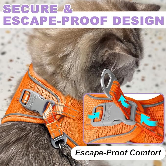 Cat Harness and Leash Set,Escape Proof Kitten Harness,Step in Adjustable Soft Lightweight,Easy Control,Reflective Strips Comfortable for Walking Travel(Orange,XXS)