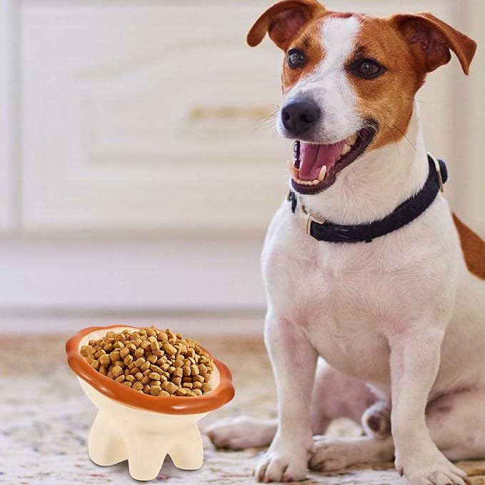 Luxshiny Ceramic Elevated Cat Food Bowl with Tilted Design Large Wide Mouth Cartoon Lion Pattern Raised Pet Bowl for Indoor Feeding and Watering