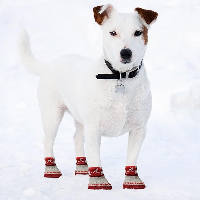 NCAA Alabama Crimson Tide Anti Slip Dog Socks with Elastic Ribbed Top, Size X-Small/Small. Indoor/Outdoor Socks, Best Dog Paw Protector, 2 Pairs of Pet Socks with Your Favorite Collegiate Sports Team