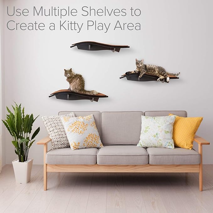 Arf Pets Cat Perch, Wall-Mounted Wooden Shelf for Your Pet, Attractive Curved Wood Ledge Encourages Natural Activity & Fun Exercise for Your Kitty,Sturdy Feline Furniture, Holds Up to 44 Lbs. 2 Pack