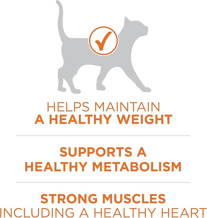 Purina ONE High Protein, Healthy Plus Ideal With Chicken Dry Cat Food Control Formula - 7 lb. Bag