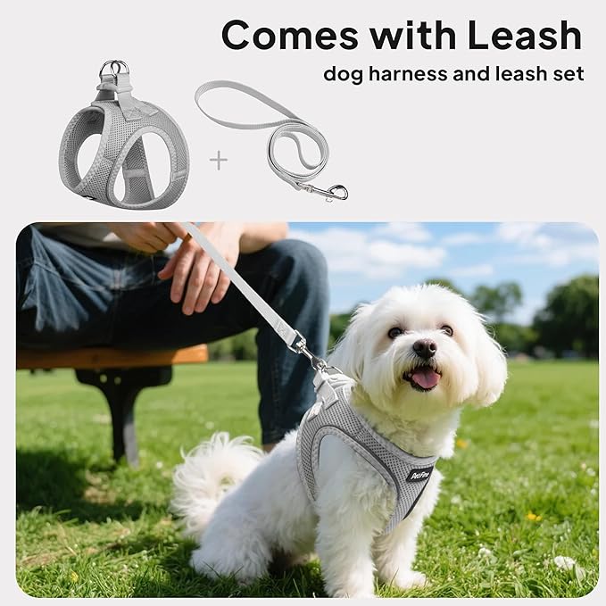PetiFine Step in Small Dog Harness and Leash Set, Breathable All Weather Air Mesh Reflective Escape Proof, Step-in Vest Harnesses for Puppy(XS, Grey)