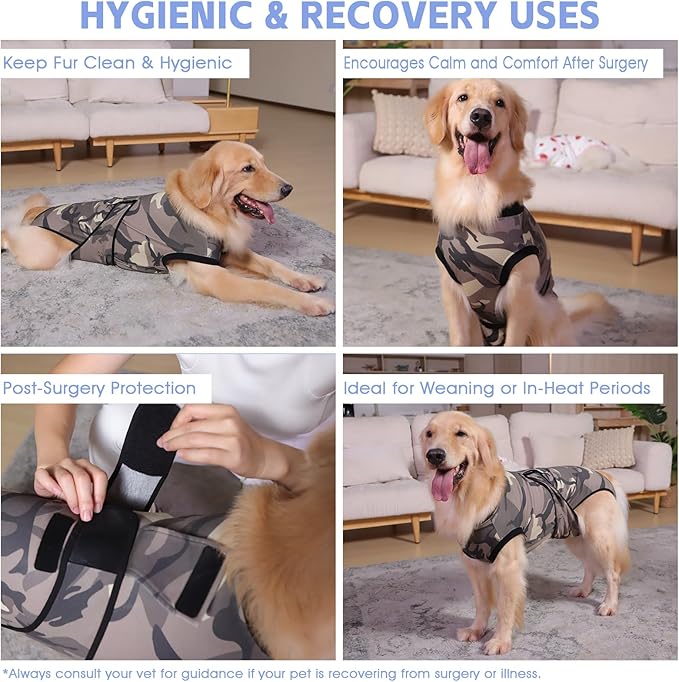 PET Glam Recovery Suit for Dogs Cats, After Surgery, Alternative E-Collar Dog CAT. PET Shirt Breathable Abdominal Wounds, Neuter Cotton, Prevent Licking Onesie Surgical (Green, XXL)