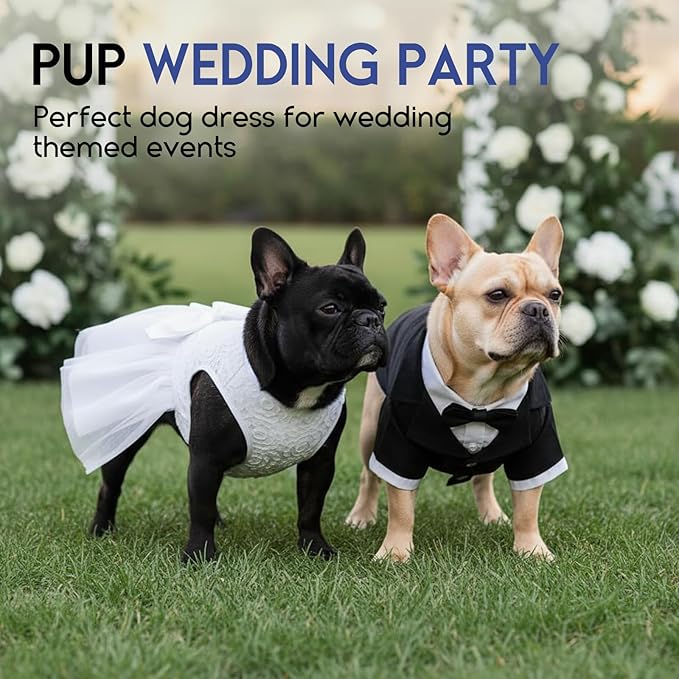 ASENKU Dog Dress Pet Wedding Dress Princess Lace Puppy Birthday Party Outfit Formal Apparel Girl for Small Medium Dogs Cats (Medium, White)