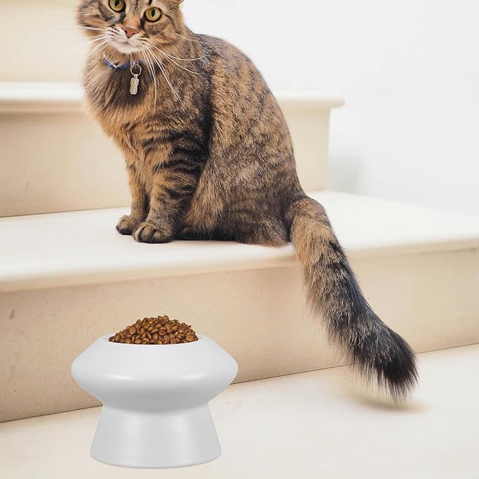 Uonlytech Ceramic Pet Feeding Bowl Elevated Water Dish High Feet Raised Bowl for Dogs and Cats Neck Protection Sturdy Pet Ceramic Feeder Random Color