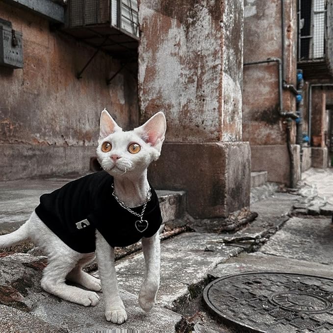 Cotton Sphynx Cat Clothes Spring and Summer Thin High Stretch Hairless Cat Clothes for Devon Rex, Konish Clothes Cat Apparel for Small Cats and Dogs… (Pink, XX-Large)