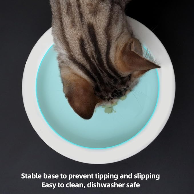 Elevated Cat Bowl, Multifunctional Prevent Vomiting Ceramic Pet Food and Water Bowl Stand with Non Slip Base for Cat Kitten
