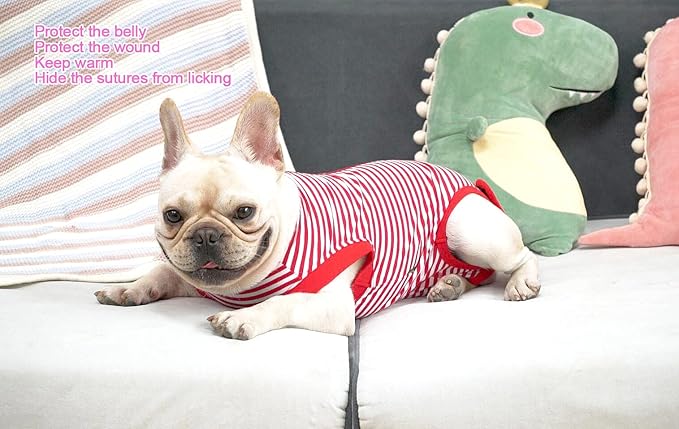 Dog Red Recovery Suit for Large Female Spay,Male Dog Surgery Suit,Narrow Red-White L