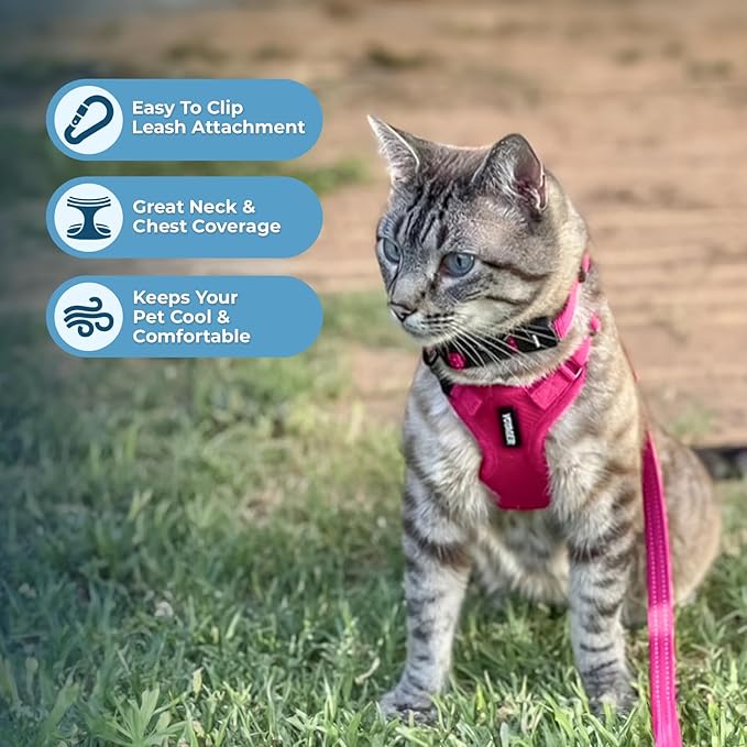 Voyager Escape-Proof Step-in Lock Cat Harness & 5ft Neoprene-Handle Leash Set All-Weather Mesh with Reflective Stitching for Small to Large Cats by Best Pet Supplies, Fuchsia, XS