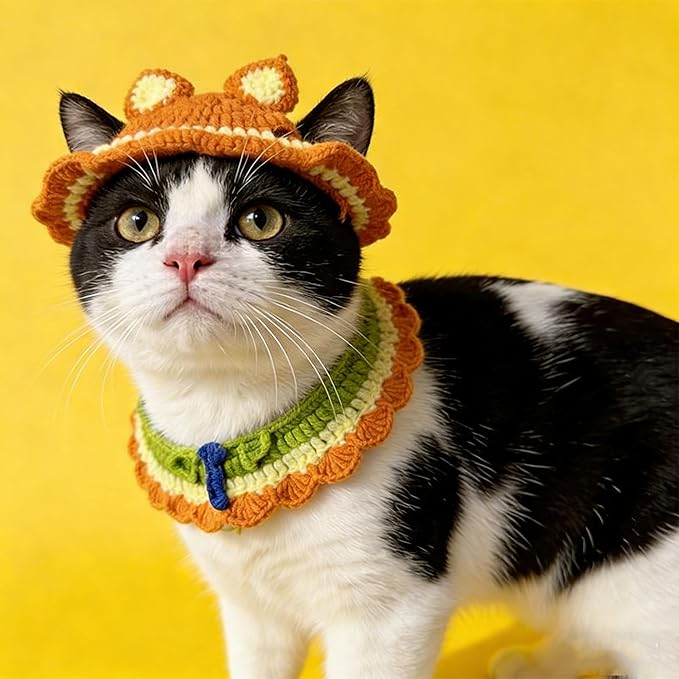 Cat Costumes Hat & Collar Set for Female Cats, Outfit Gift for Small Pets Birthday, Orange